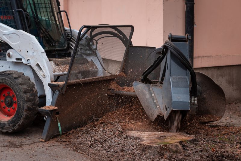Stump Removal