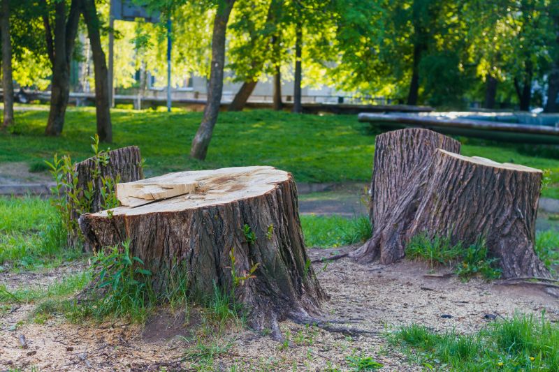 Stump Removal