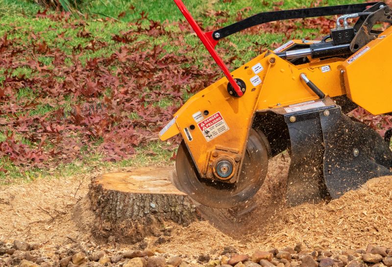 Stump Grinding Machine