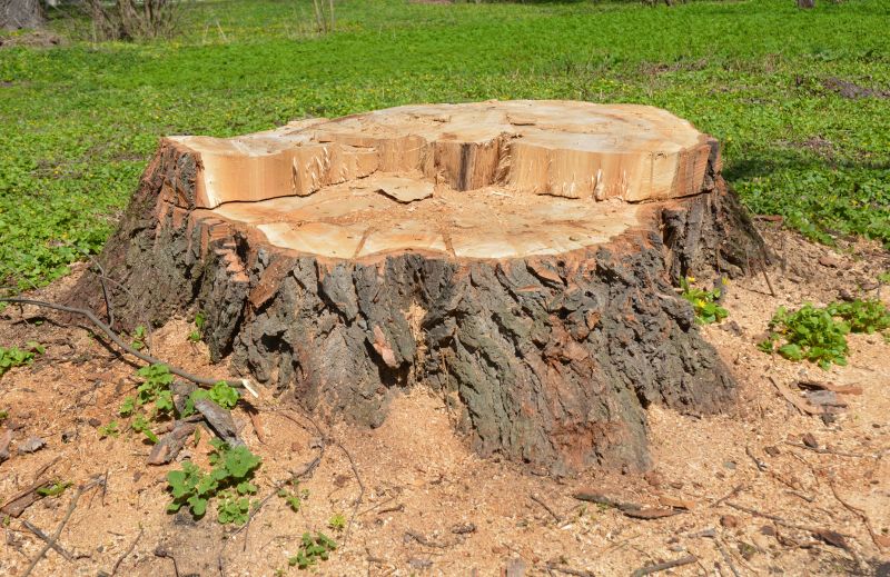 Stump Removal
