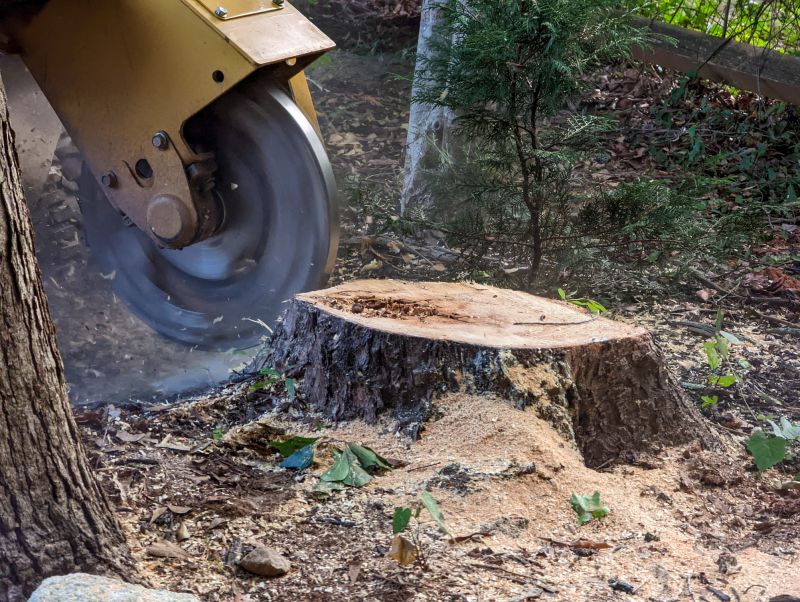 Stump Removal