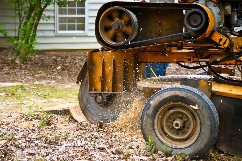 Stump Removal Equipment