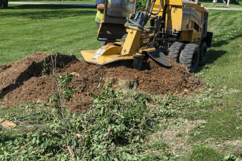 Stump Grinding Process