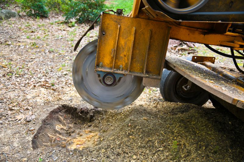 Tree Root Grinding