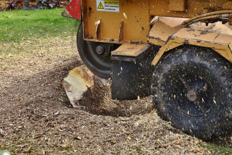 Professional Stump Grinding